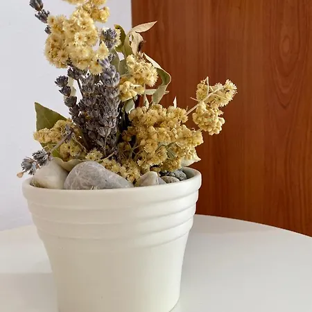 Adria Aparthotel Vodice