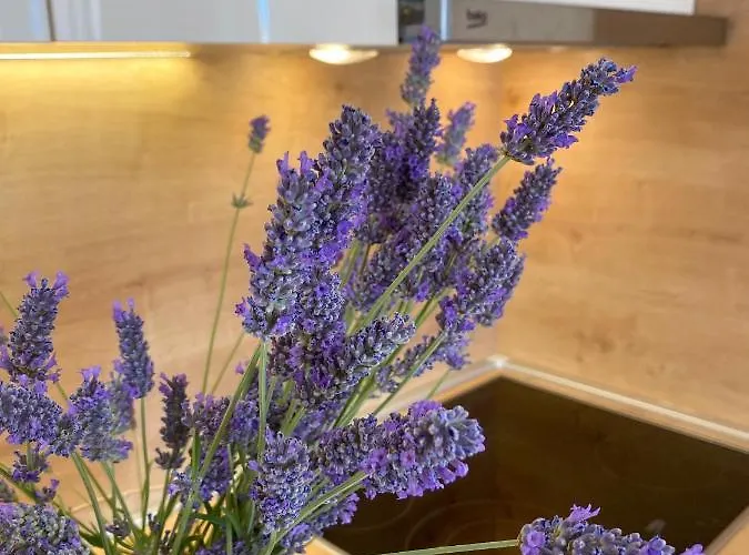 Adria Апарт-отель 4*