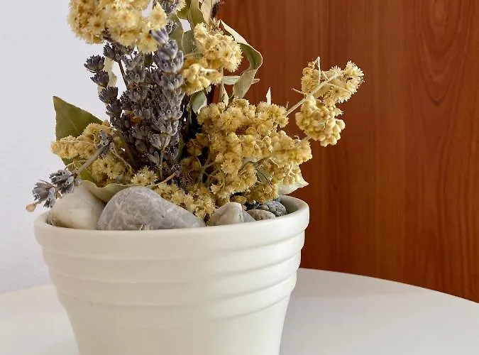 Adria Appart hôtel Vodice